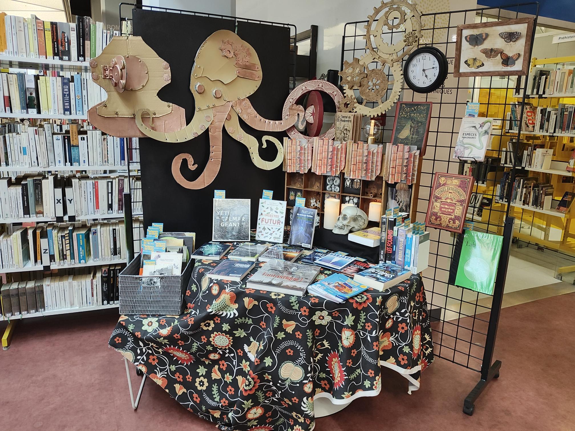 IMG 20260127 155709767 HDR