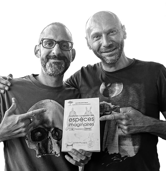 Rafaelian Steyer Cavalier bleu BW72